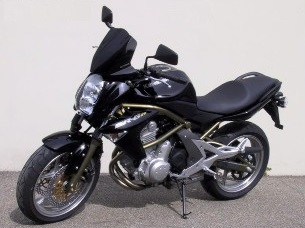 Fabbri windscherm Kawasaki ER6 N 2005-2008 FAK066/DS 1